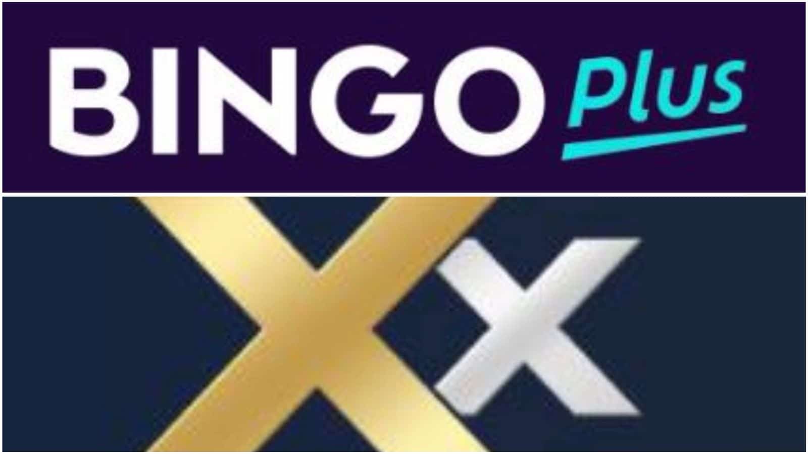 xx bet bingo plus brasil